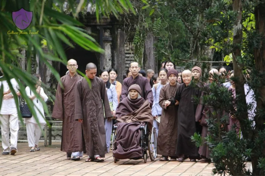 Contributions of Thich Nhat Hanh to Tu Hieu Pagoda - Culture Pham Travel
