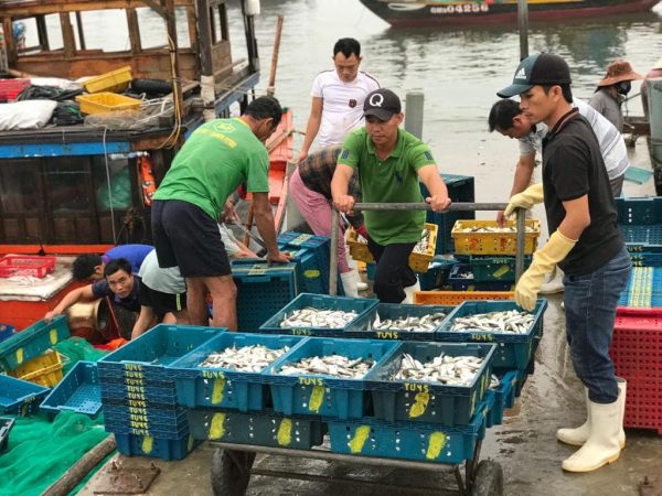Hoi An Sunrise Fish Market- Culture Pham Travel