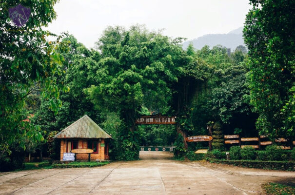 Bach Ma National Park Vietnam- Culture Pham Travel