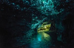 Phong Nha Cave- Culture Pham Travel