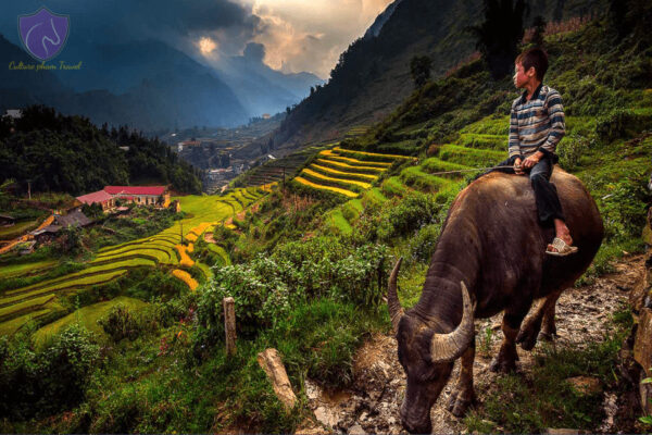Cat Cat Village Sapa - Culture Pham Travel