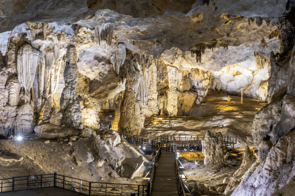 Paradise Cave Day Tours