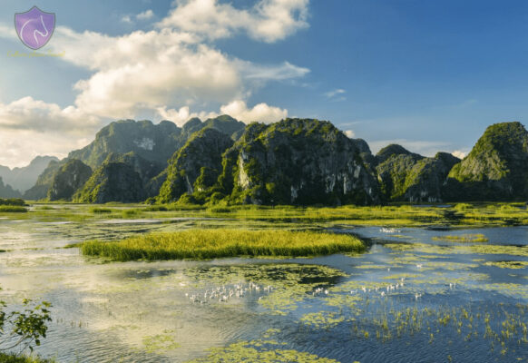 Van Long Wetland Nature Reserve
