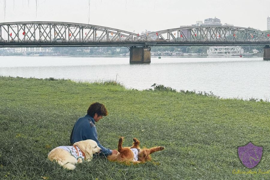 The lawn near Truong Tien Bridge, a newly popular spot for picnic in Hue