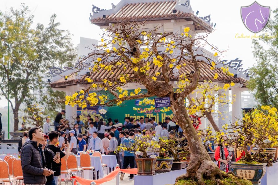 Hue Festivals - Culture Pham Travel