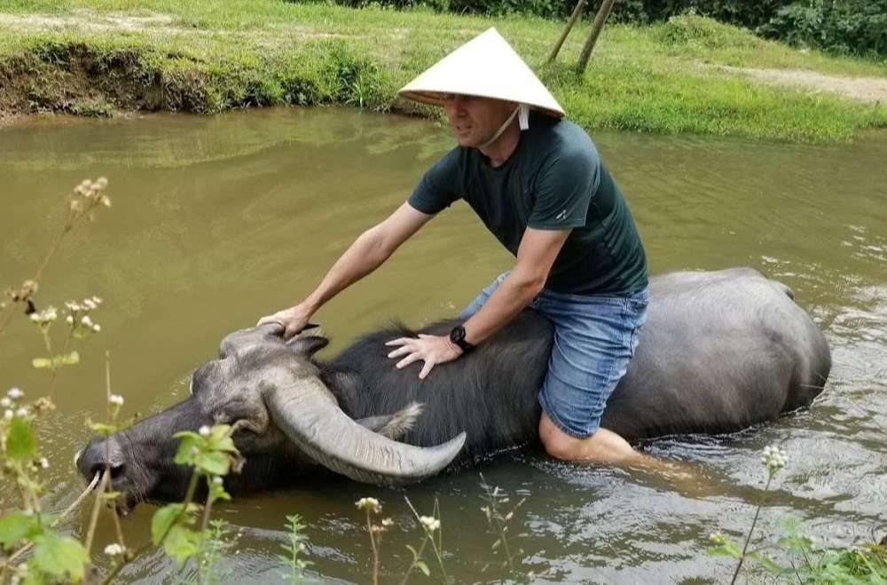 Buffalo ride in Phong Nha Duck Stop-Culture Pham Travel