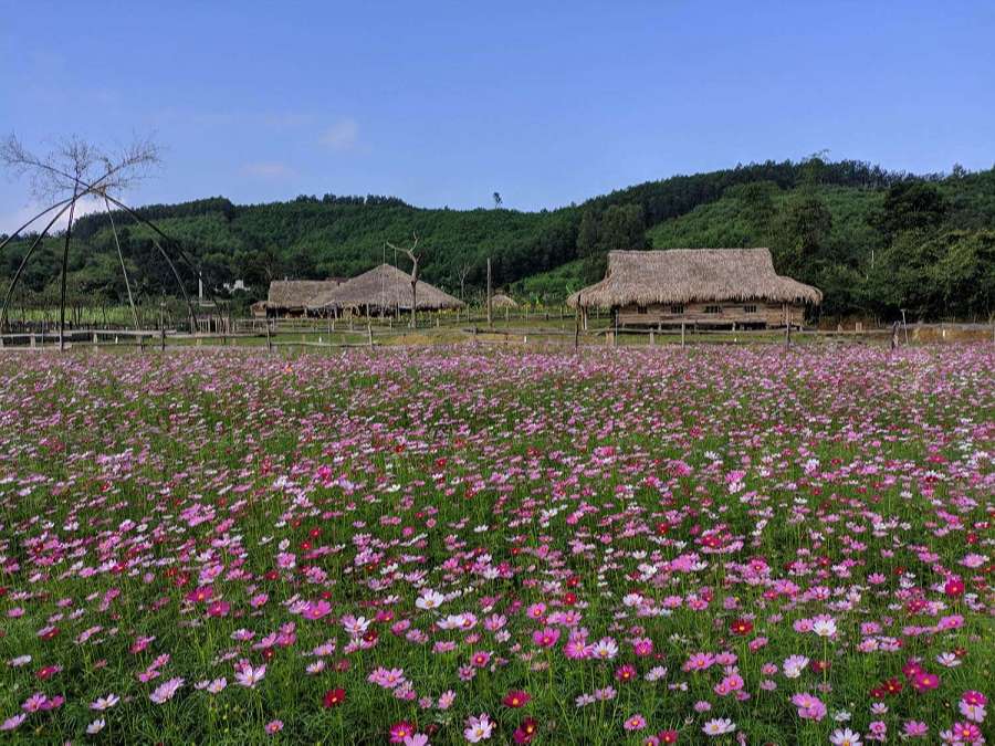 Love Valley in Bong Lai-Culture Pham Travel