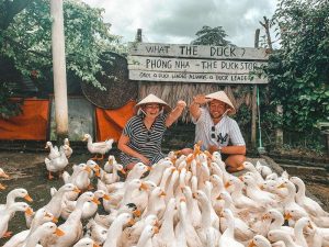 The Duck Stop-Culture Pham Travel