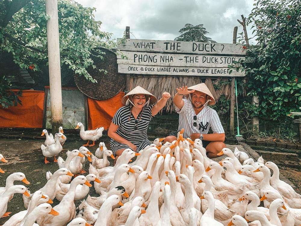 The Duck Stop-Culture Pham Travel