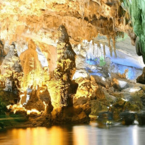 Phong Nha Cave And Dark Cave Tour 1 Day