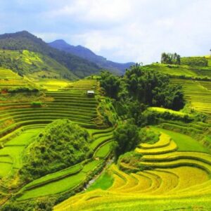 Halong Bay to Pu Luong by private car- Culture Pham Travel