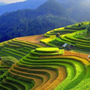 Hai Phong to Mu Cang Chai by private car- Culture Pham Travel