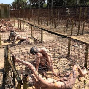 Phu Quoc City Tour - Culture Pham Travel