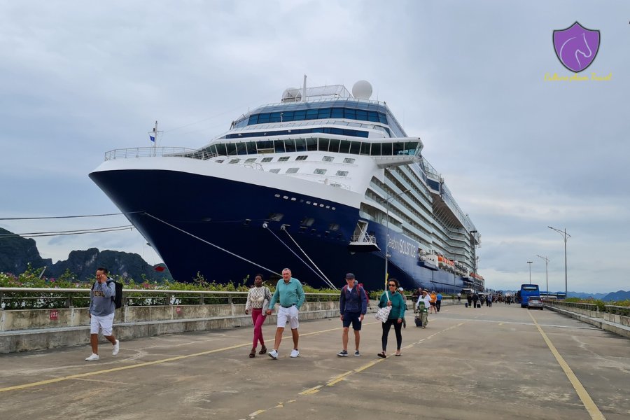 Hai Phong Cruise To Halong Bay Private Car - Culture Pham Travel