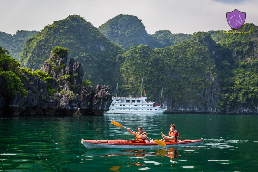 Hai Phong To Halong Bay Private Car Transfer - Culture Pham Travel