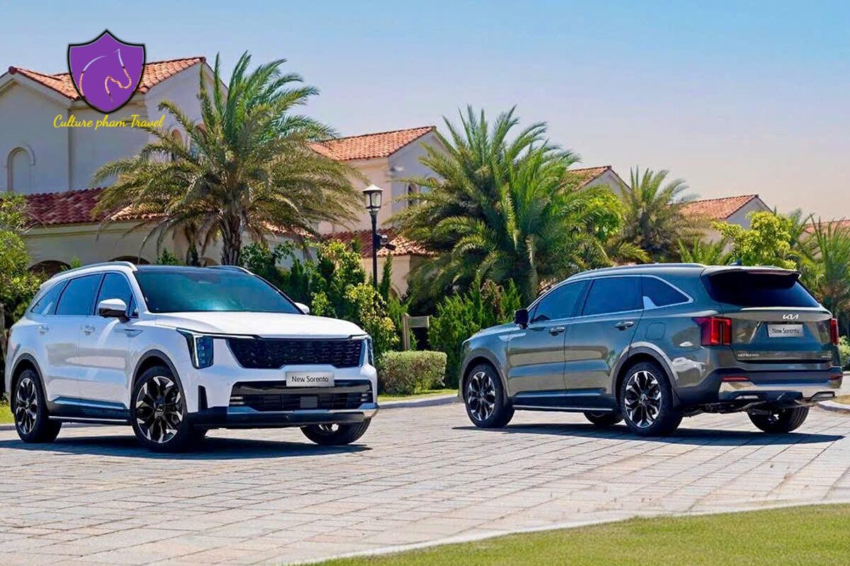 Sapa to Pu Luong private car - Culture Pham Travel