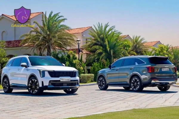 Sapa To Pu Luong Private Car