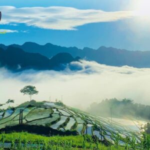 Private car Sapa to Pu Luong - Culture Pham Travel