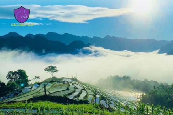 Private car Sapa to Pu Luong - Culture Pham Travel