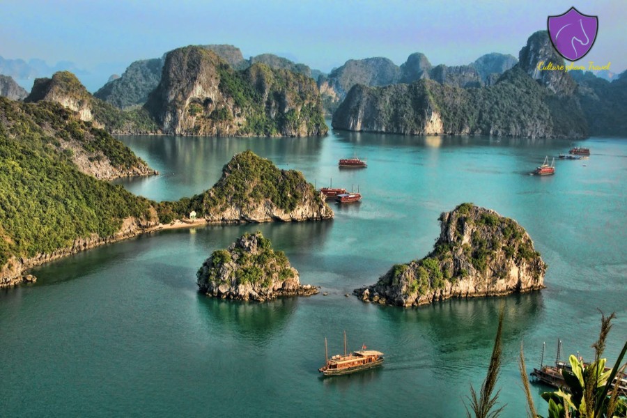 Mai Chau To Halong Bay Car - Culture Pham Travel