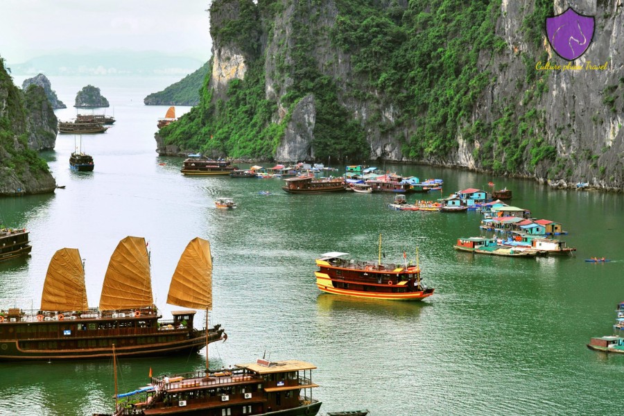 Mai Chau To Halong Bay Car Transfer - Culture Pham Travel