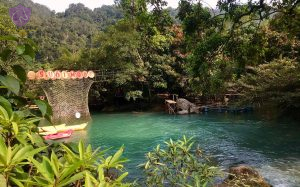 Culture Pham Travel & Transport