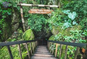 Paradise Cave- Culture Pham Travel
