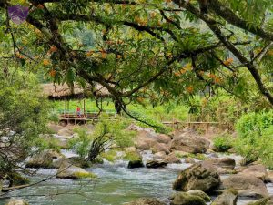 Nuoc Mooc Springs- Culture Pham Travel