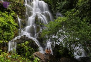 Botanic Garden Entrance Fee- Culture Pham Travel