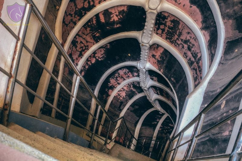 The dragon bones at Abandoned water park Hue