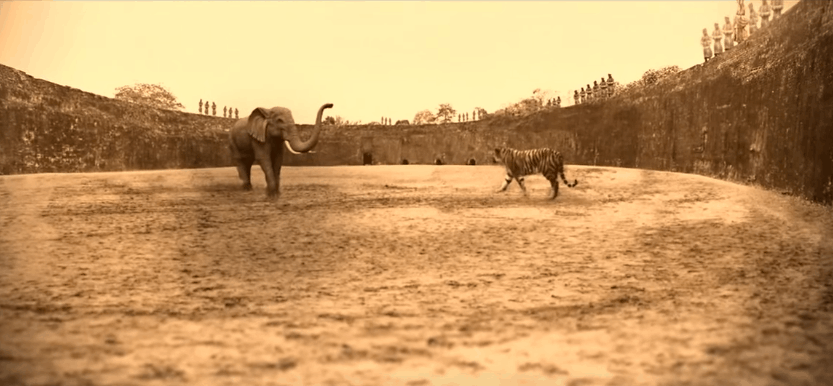 Tiger Arena Hue- Culture Pham Travel