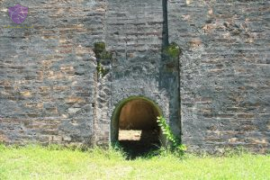 Tiger Arena Hue- Culture Pham Travel