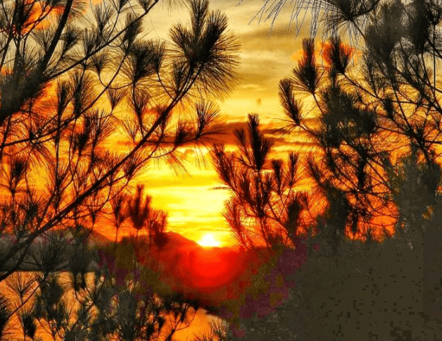 Vong Canh Hill- Culture Pham Travel