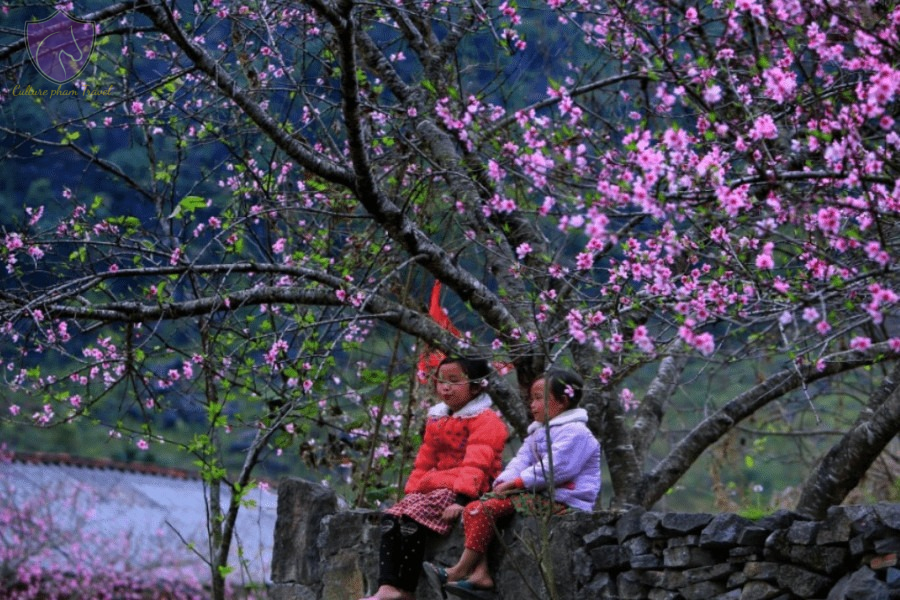 Ma Pi Leng Pass - Culture Pham Travel