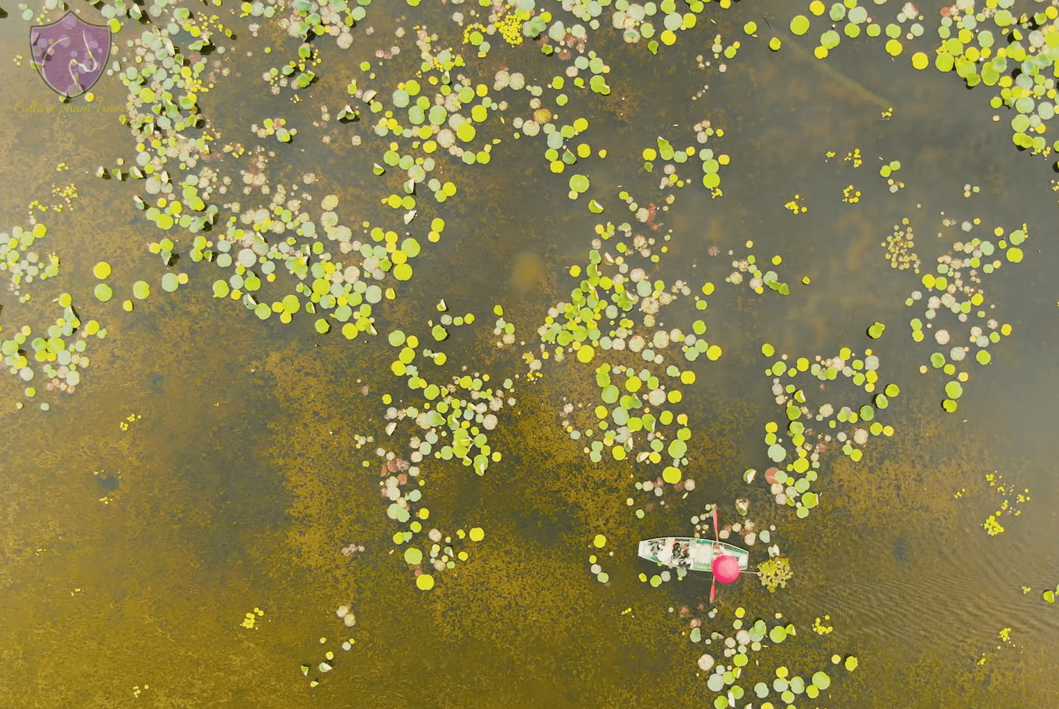 Ninh Binh Boat Tour-Trang An or Tam Coc Boat Tour-Culture Pham Travel