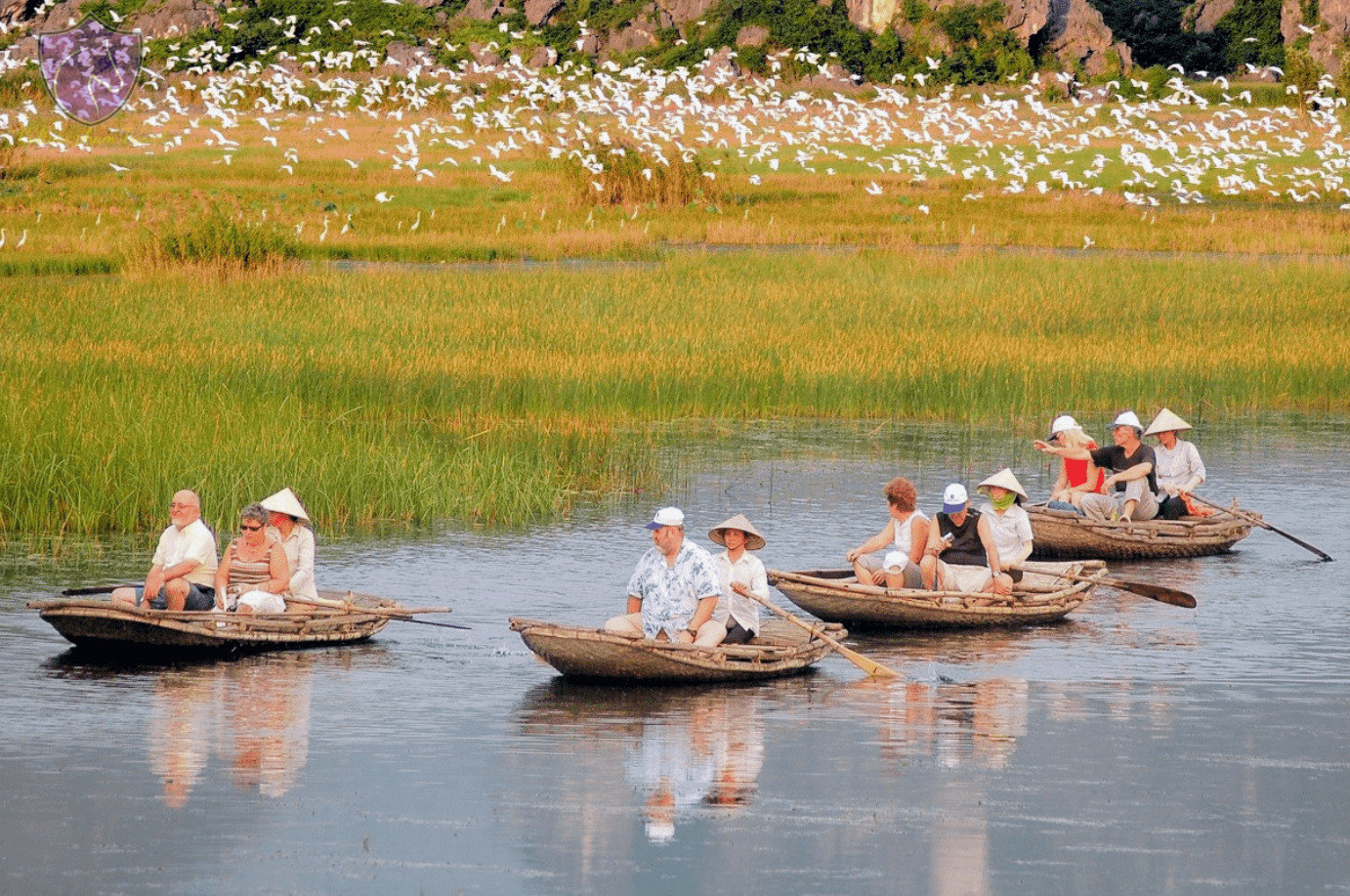 Van Long lagoon boat tour-Culture Pham Travel