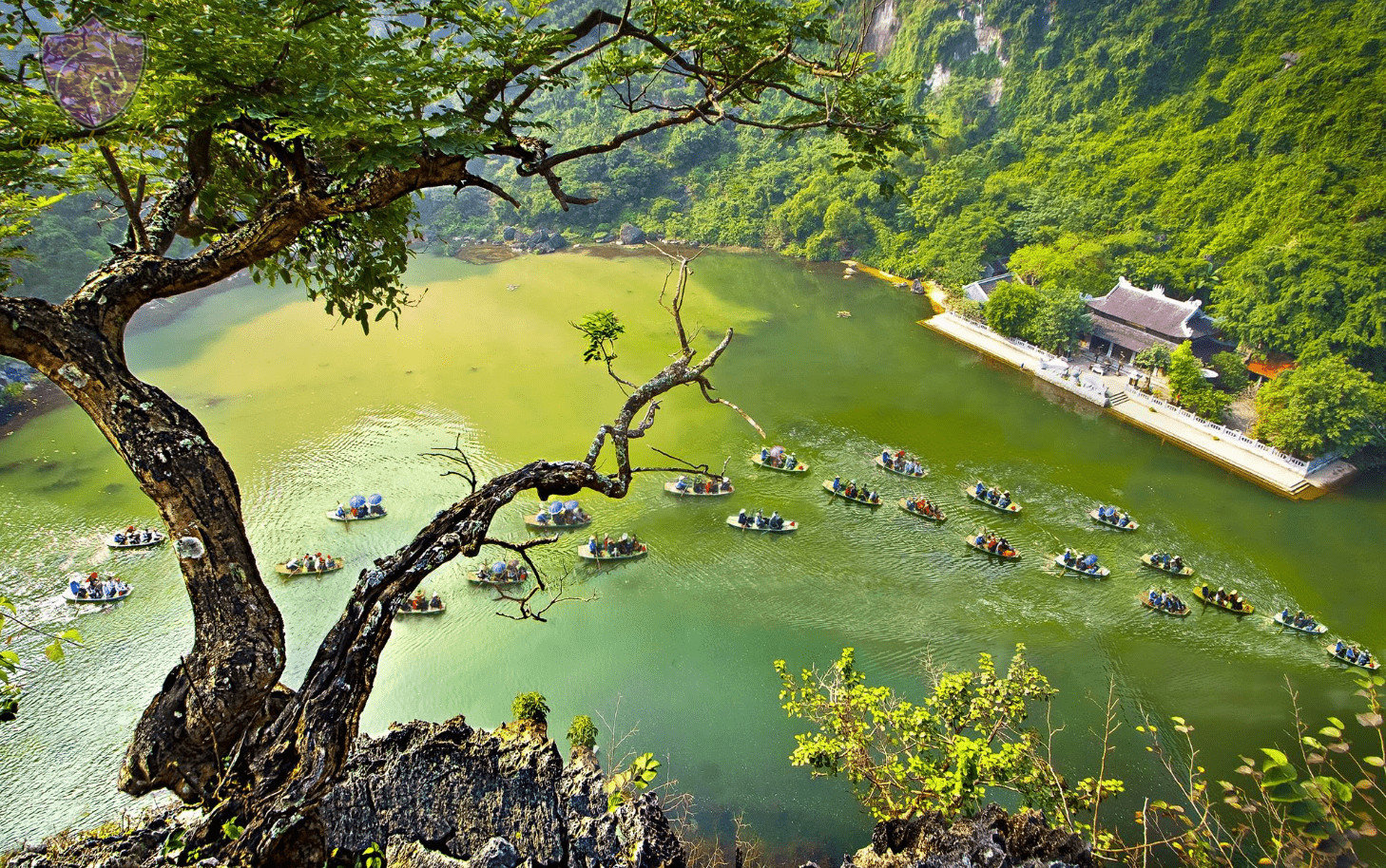 Ninh Binh Boat Tours-Culture Pham Travel