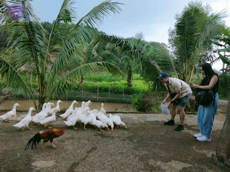 Phong Nha Duck Stop-Culture Pham Travel