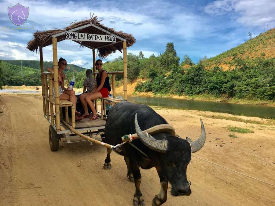 Bong Lai Rattan House-Culture Pham Travel