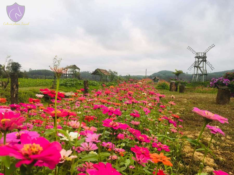 Love Valley in Bong Lai-Culture Pham Travel