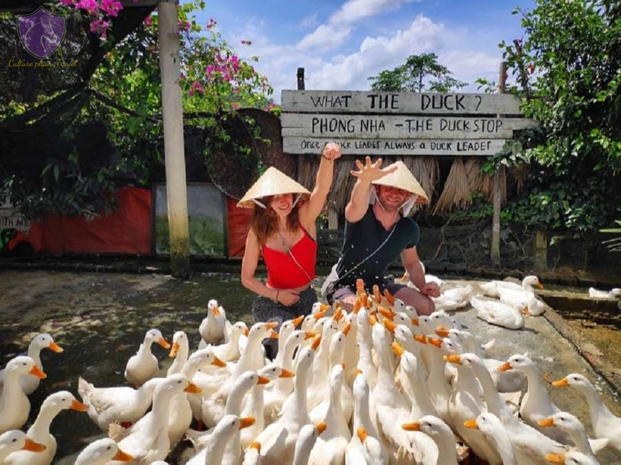 Phong Nha Duck Stop-Culture Pham Travel