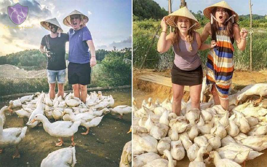 The Duck Massage-Culture Pham Travel