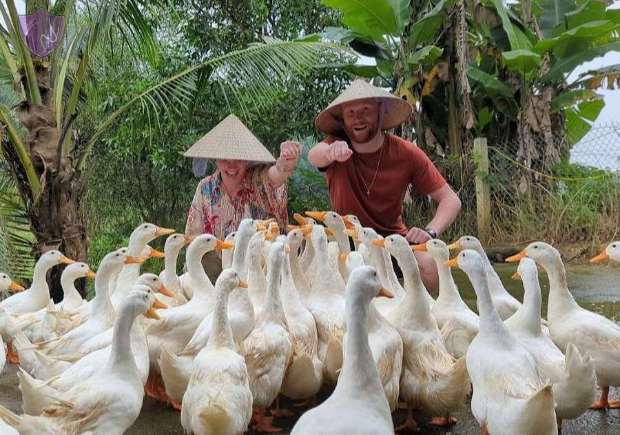 The Duck Stop-Culture Pham Travel