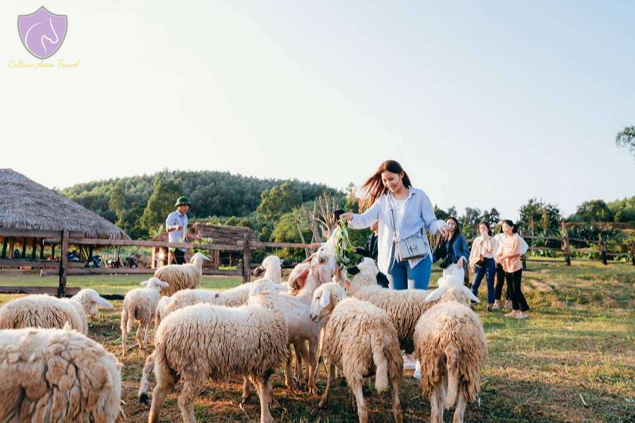 Dong Soi Farm-Culture Pham Travel