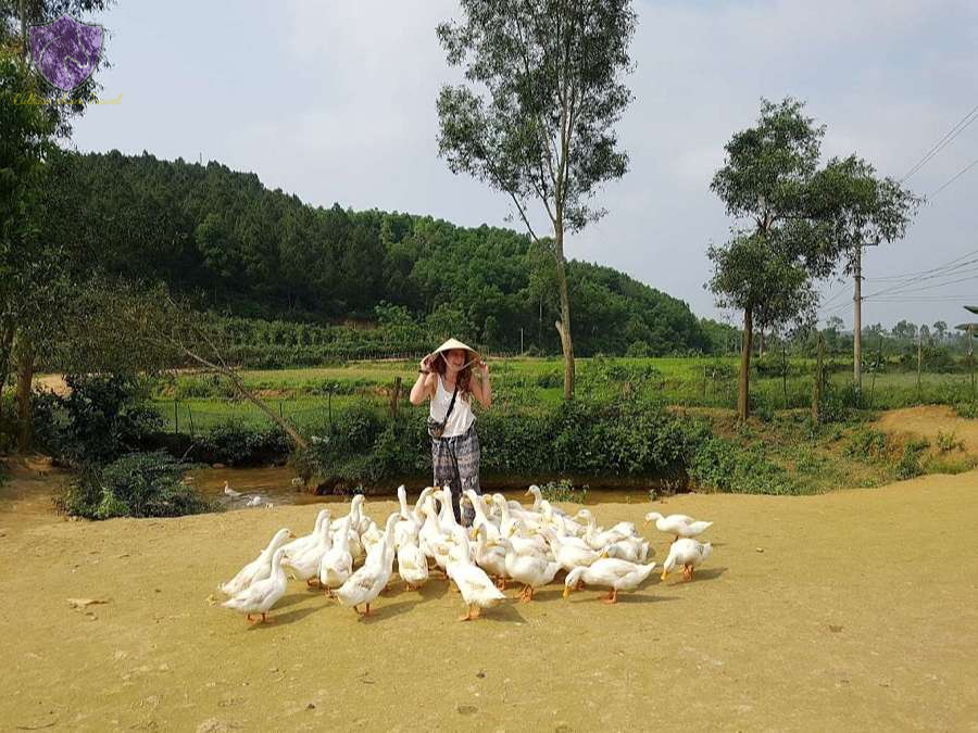 The Duck Stop Phong Nha-Culture Pham Travel