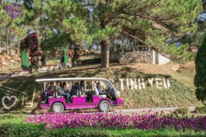 Valley of Love Da Lat - Culture Pham Travel