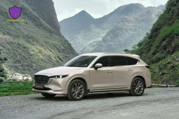 Moc Chau To Pu Luong Private Car