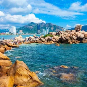 Da Nang to Nha Trang By Luxrury Car - Culture Pham Travel