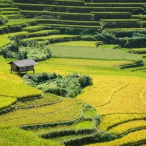 Ha Giang To Mu Cang Chai By Car - Culture Pham Travel
