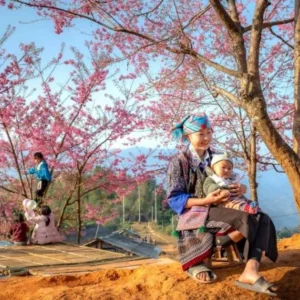 Ha Giang To Mu Cang Chai By Car - Culture Pham Travel